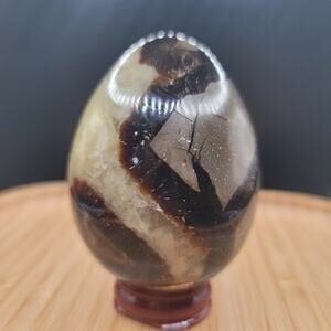 254G Septarian Egg Specimen